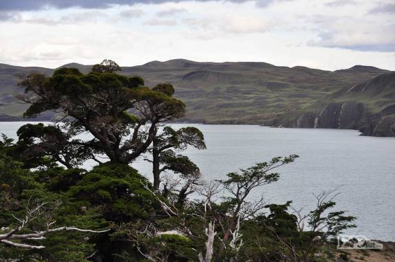O belo lago Nordenskjold, no Parque Nacional Torres del Paine, no sul do Chile